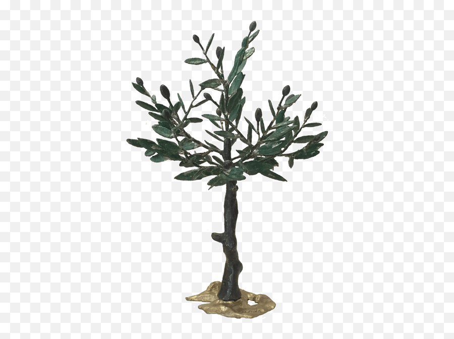 Bronze Olive Tree 002 - Kallistigallery Gambel Oak Png,Olive Tree Png