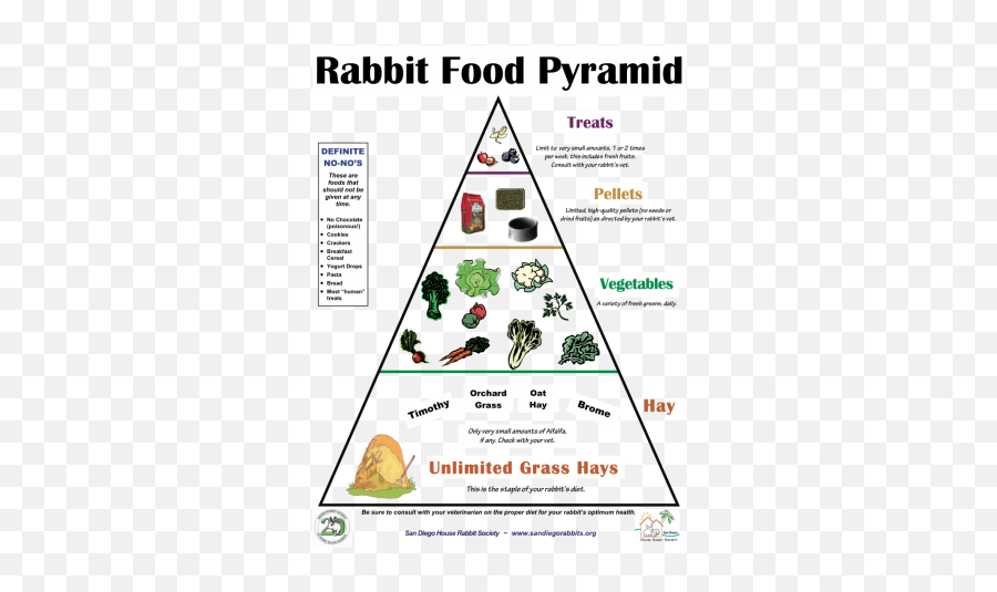 Rabbit Food Pyramid - East Bay Rabbit Rescue Diet Of A Rabbit Png,Food Pyramid Png