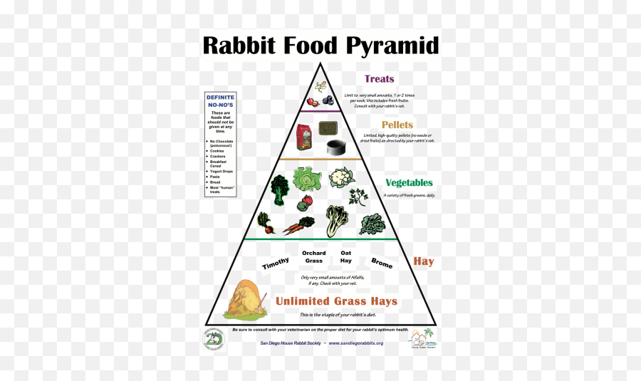 Rabbit Food Pyramid - East Bay Rabbit Rescue Diet Of A Rabbit Png,Food ...