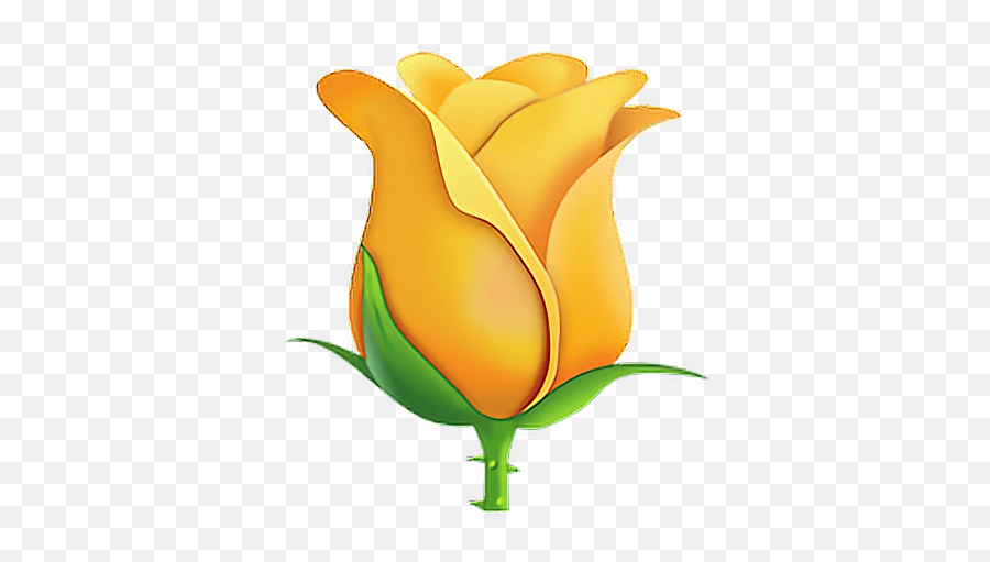 Emoji Emojisticker Sticker - Roses Emoji Png,Rose Emoji Png