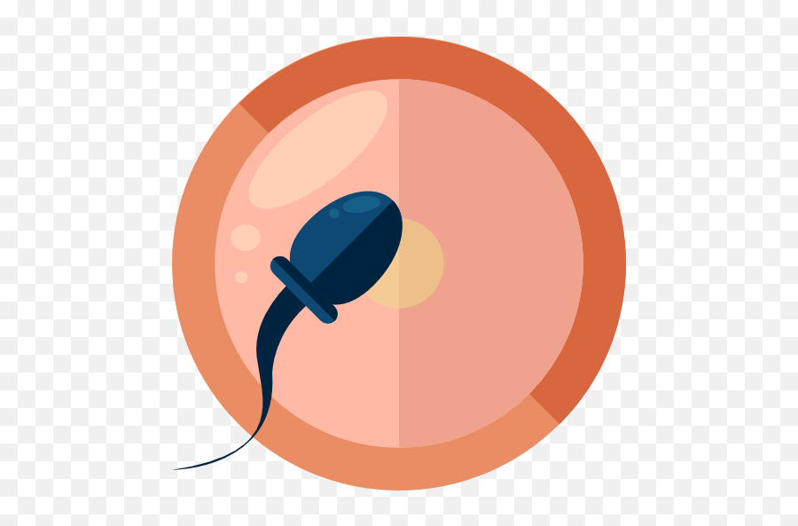 Medical Pregnancy Reproduction - Fertilization Icon Png,Sperm Png