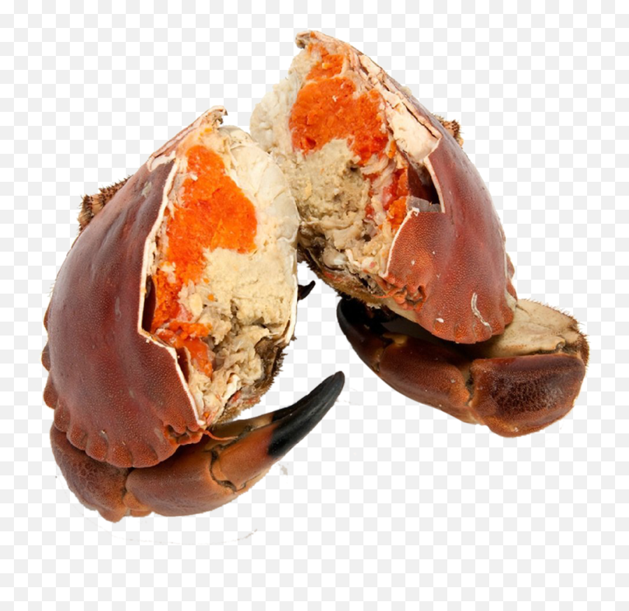 Cooked Brown Crab - Cancer Pagurus Crab Meat Png,Crabs Png