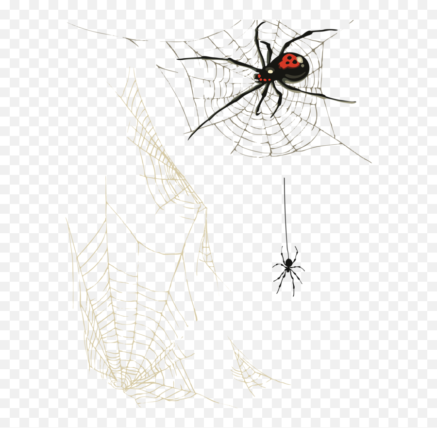 Spiderweb Clipart Food Web Picture - Webs With Spider Art Png,Spiderwebs Png