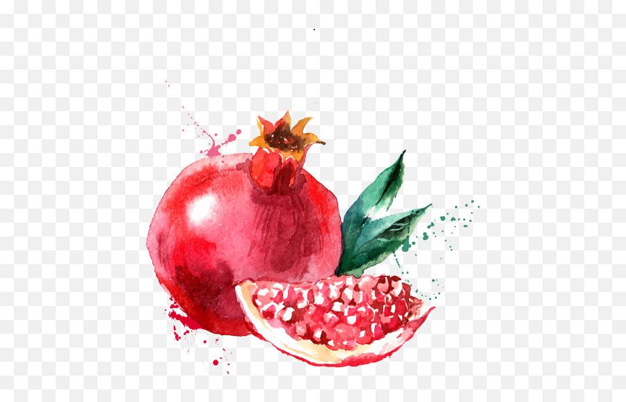 Pomegranate Png Slice - Pomegranate Drawing,Pomegranate Png