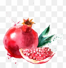 Pomegranate Png Slice - Pomegranate Drawing,Pomegranate Png