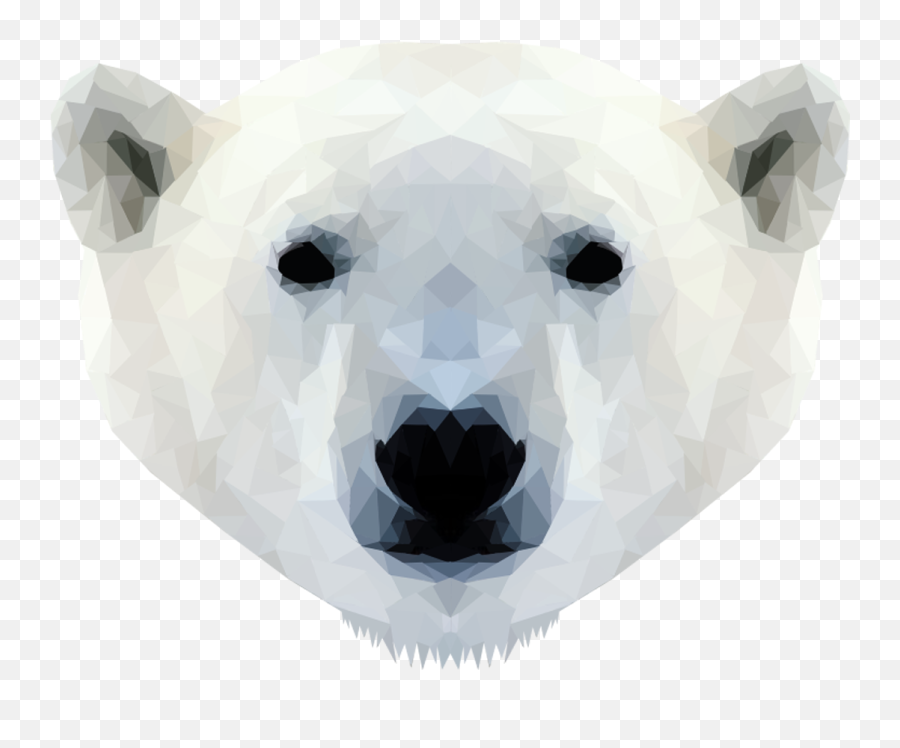 Download Hd Emmasimoncic - Tumblr Com Low Poly Polar Polar Bear Face Head Png,Polar Bear Transparent Background