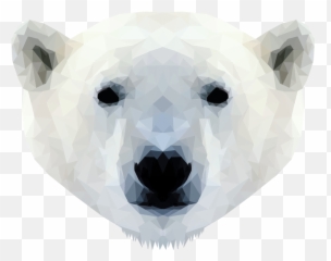 Download Hd Emmasimoncic - Tumblr Com Low Poly Polar Bear Face Head png
