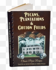 Cotton Png And Vectors For Free Download - Dlpngcom Book Cover,Cotton Png