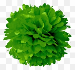 Download Hd Kelly Green Tissue Pom Poms - Pom Pom Png,Pom Pom Png