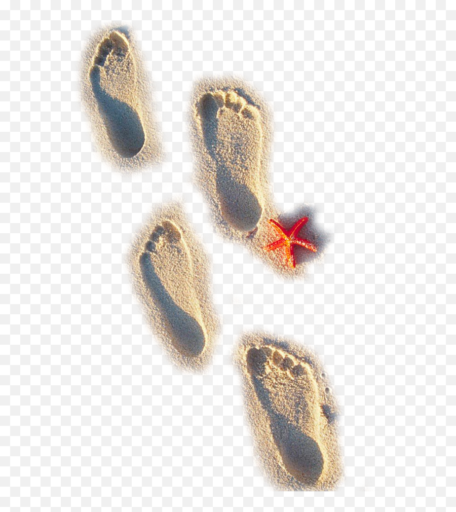 Clipart Footprints In Sand - Beach Foot Prints Png,Transparent Footsteps