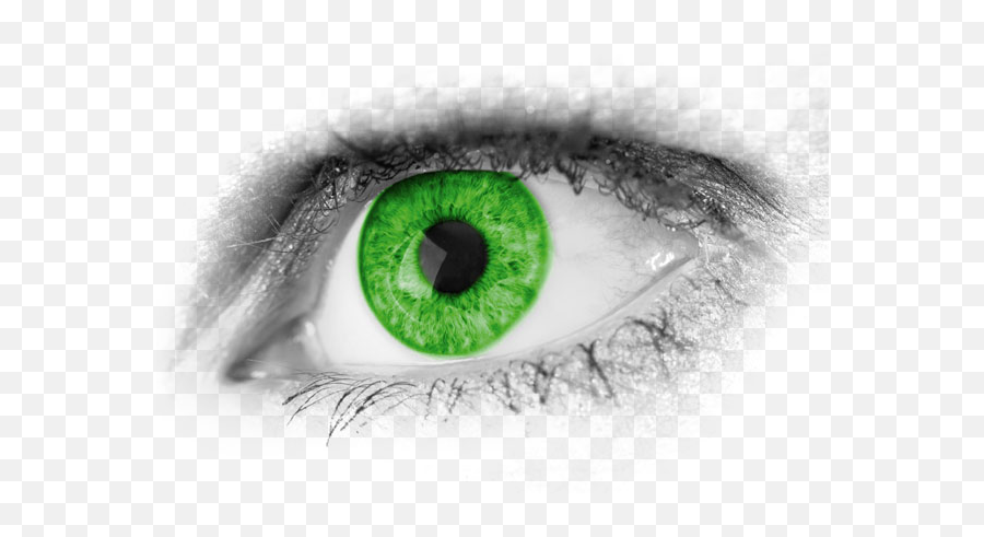 Download Eyes Png - Real Green Eyes Transparent,Green Eyes Png