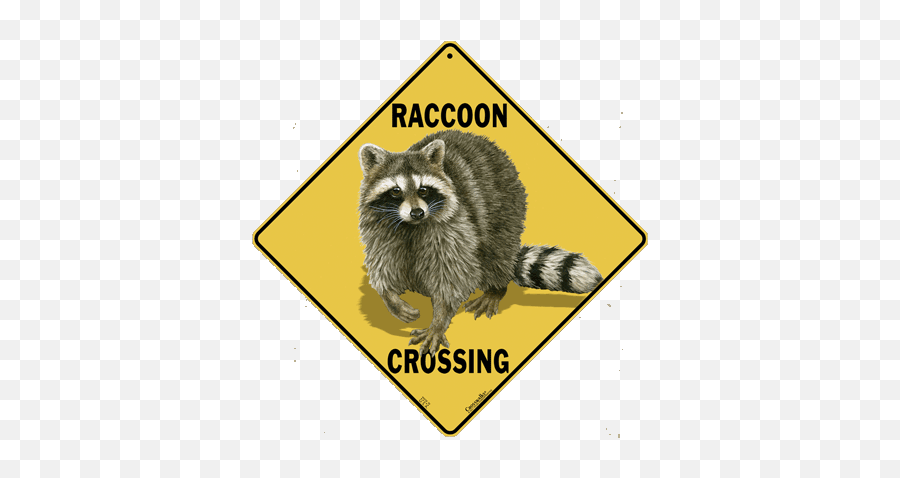 Atlas Screen Printing And Embroidery Award Winning Graphic - Penguin Crossing Sign Png,Racoon Png