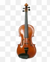 Rentals U2014 Inter - City Violin Studios Anatomy Of png