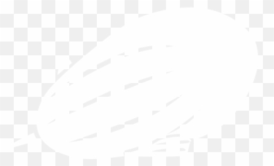 Zeppelin - Apache Logo White png