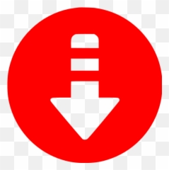 Red Arrow Down 5 Icon - Vertical png
