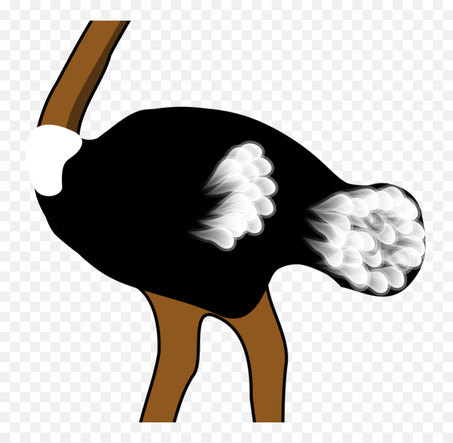 Ostrich Png Transparent - Free Download On Tpngnet Ostrich Clipart Black And White,Ostrich Icon
