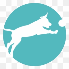About Us Our Dogs Are Family Off Leash Training - png