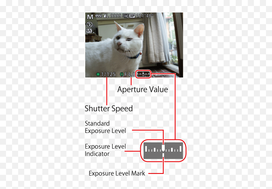 Canon Knowledge Base - Setting The Aperture And Shutter Photo Caption Png,Shutter Speed Icon