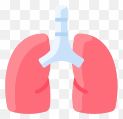 Lungs - Free Healthcare And Medical Icons Clip Art Png,Lungs Icon