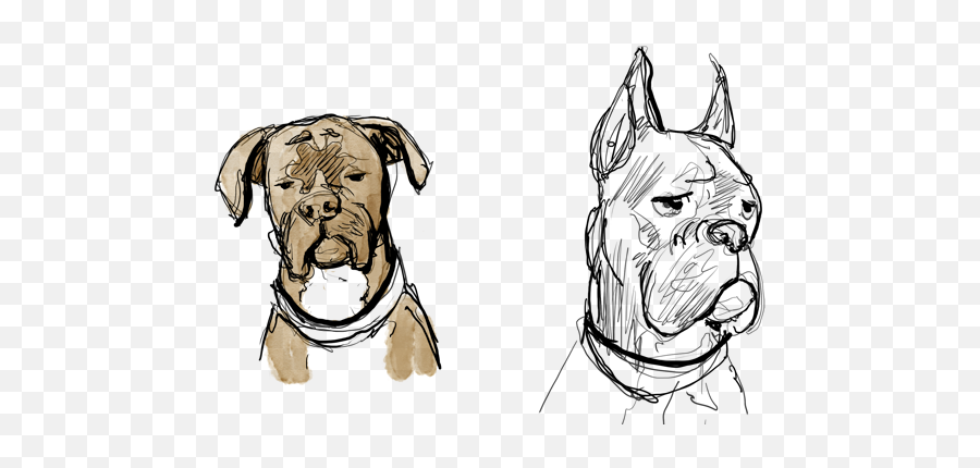 Download Abandon Bonus Page - Draw A Boxer Dog Face Png Draw A Boxer Dog Face,Dog Face Png