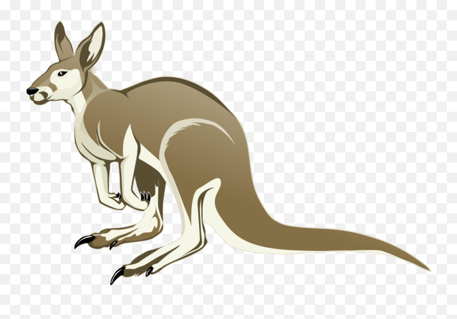 Kangaroo Png Transparent Clipart Image - Cartoon Kangaroo Transparent Background,Kangaroo Transparent Background