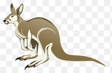 Kangaroo Png Transparent Clipart Image - Cartoon Kangaroo Transparent Background,Kangaroo Transparent Background