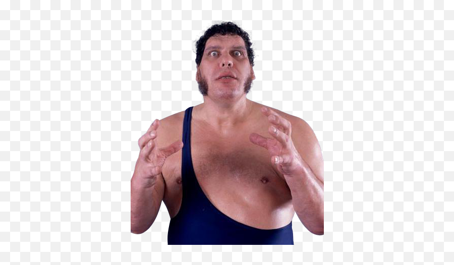 Lanny Poffo - Andre The Giant Son Big Show Png,Macho Man Png