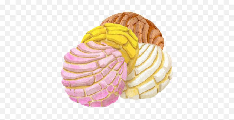 Cropped - Conchas Pan Dulce Png,Concha Png