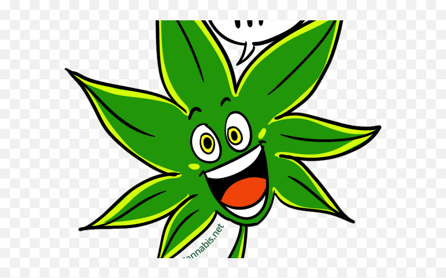 Weed Clipart Hash - Cartoon Hash Plant Transparent Cartoon Hash Plant Cartoon Png,Weed Plant Png