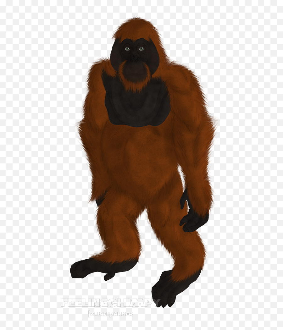 Download Scrapped Orangutan - Monkey Full Size Png Image New World Monkey,Orangutan Png