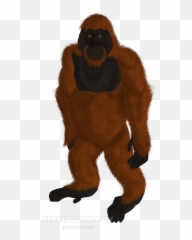 Download Scrapped Orangutan - Monkey Full Size Png Image New World Monkey,Orangutan Png