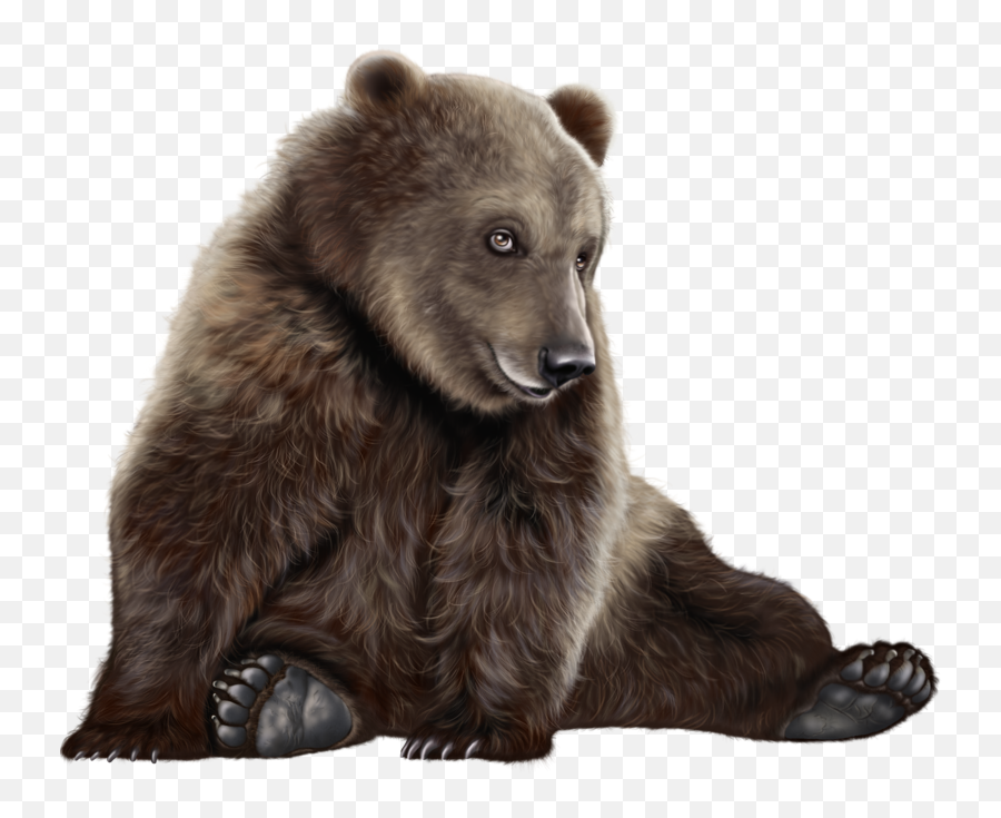 Clipart Bear Png - Grizzly Bear Hd Png,Brown Bear Png