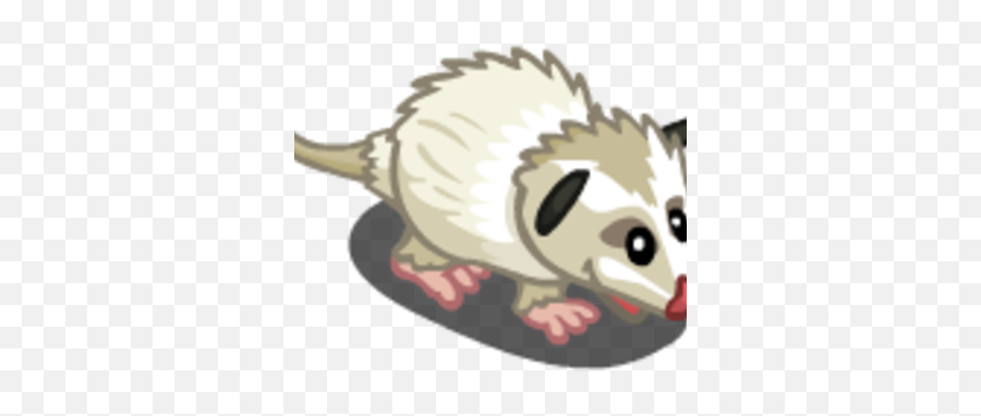 White Opossum - Badger Png,Opossum Png