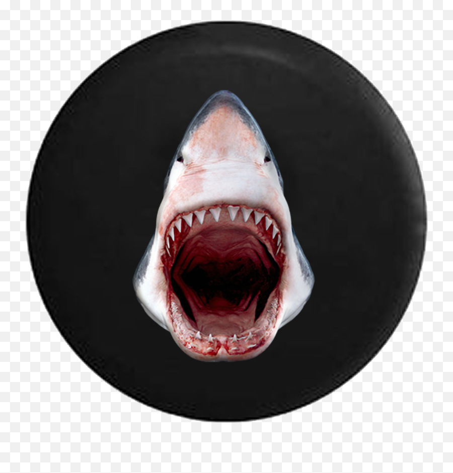 Great White Shark Jaws Open Razor Sharp - Open Mouth Shark Clipart Png,Jaws Png