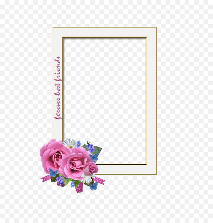 Frame Roses Best Friends - Free Image On Pixabay Pink And Blue Rose Png,Best Friends Png