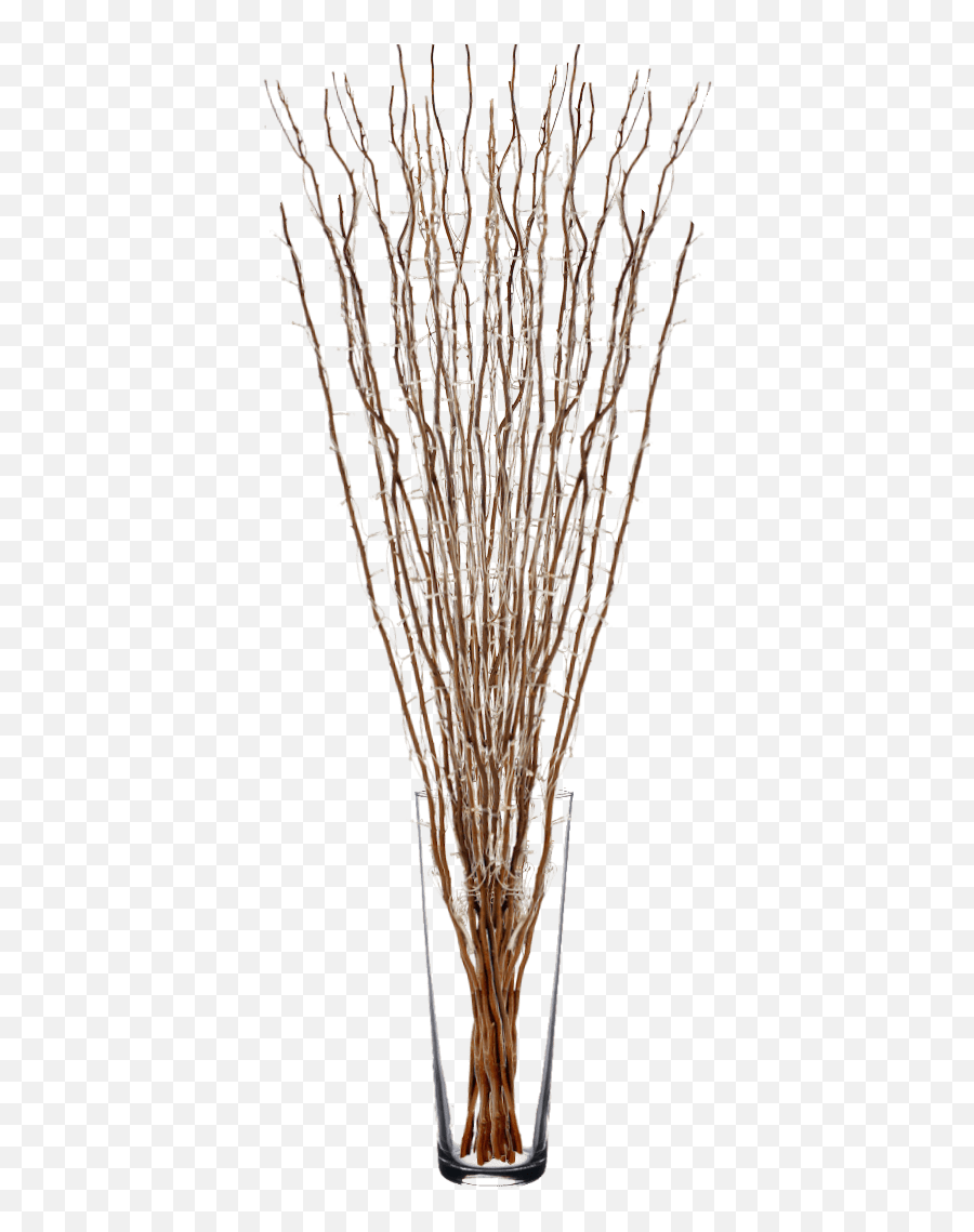 6ft Willow Twigs With Fairy Lights - Vase Png,Fairy Lights Png