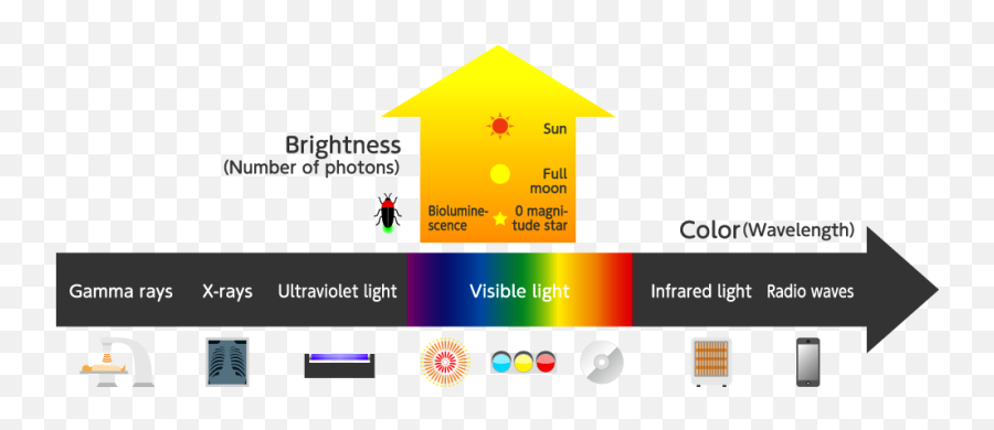 State Of Light - Photons Of Light Diagram Png,Wavelength Png