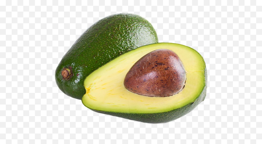 Aguacate Png Images In Collection - Aguacate Hass Png,Aguacate Png