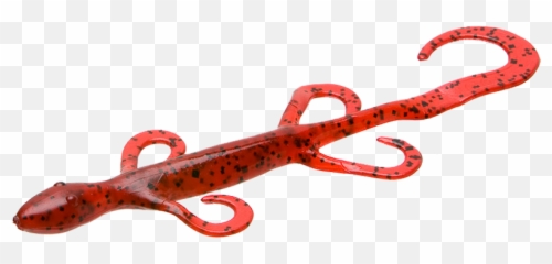 6 Lizard - Zoom Bait Company Zoom Baits Lizard Png,Lizard Transparent