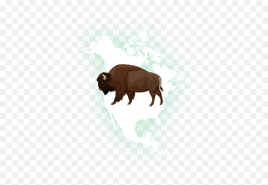 Programs Archive Big Blue Marble Academy - American Bison Png,Club Icon Macon Ga