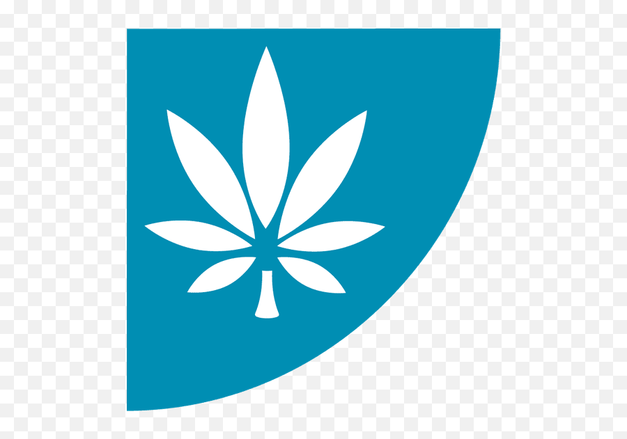 Niosh Evaluates Exposures - School High Exl Png,Marijuana Plant Icon