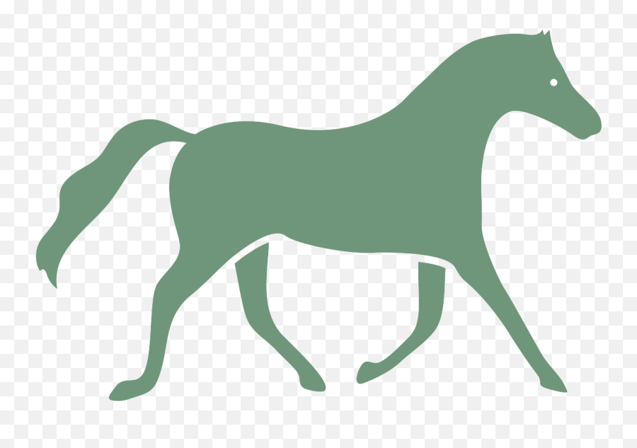 Equine Item Categories Pinehurst Guide - Animal Figure Png,Horses Icon