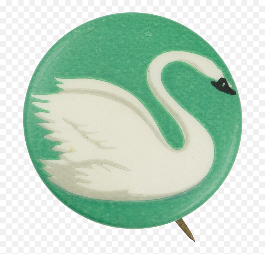 Swan Transparent PNG