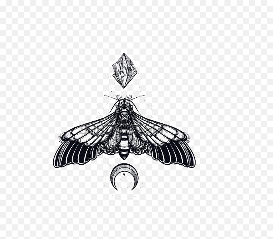 Moth - Sacred Geometry Moth Tattoo Png,Butterfly Tattoo Png