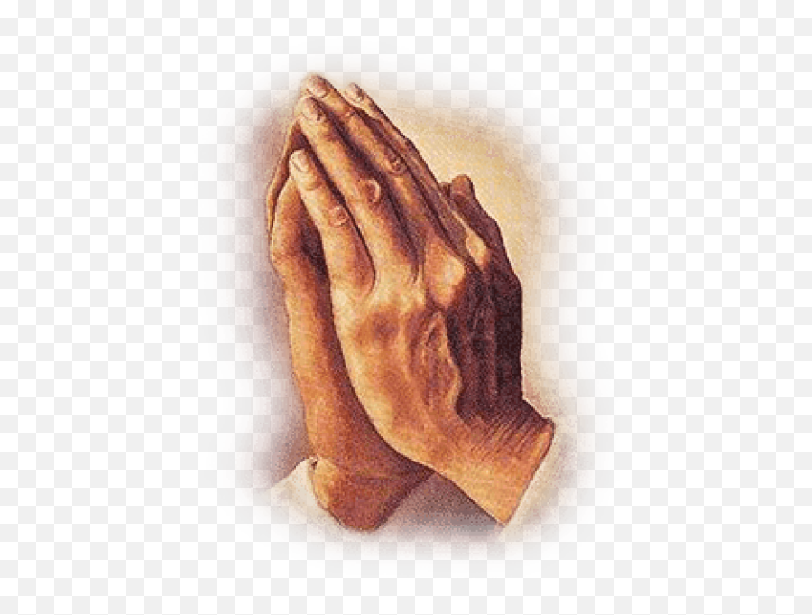 Praying Hands Png - Praying Hands Transparent Background,Back Of Hand Png