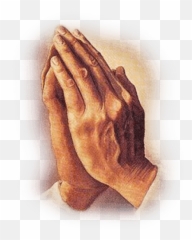 Praying Hands Png - Praying Hands Transparent Background,Back Of Hand Png