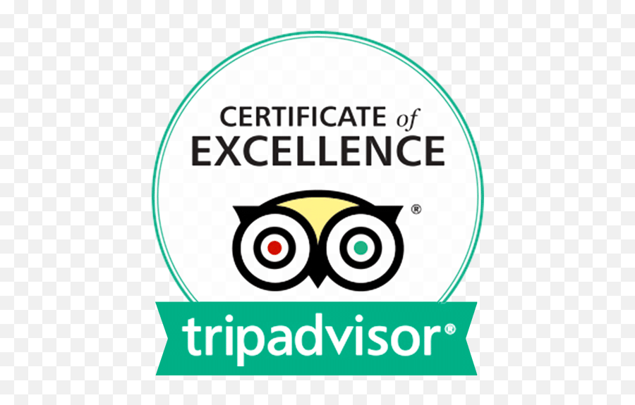 Download Hd Certificate Of Excellence - Tripadvisor Certificate Of Excellence 2018 Png,Certificate Background Png