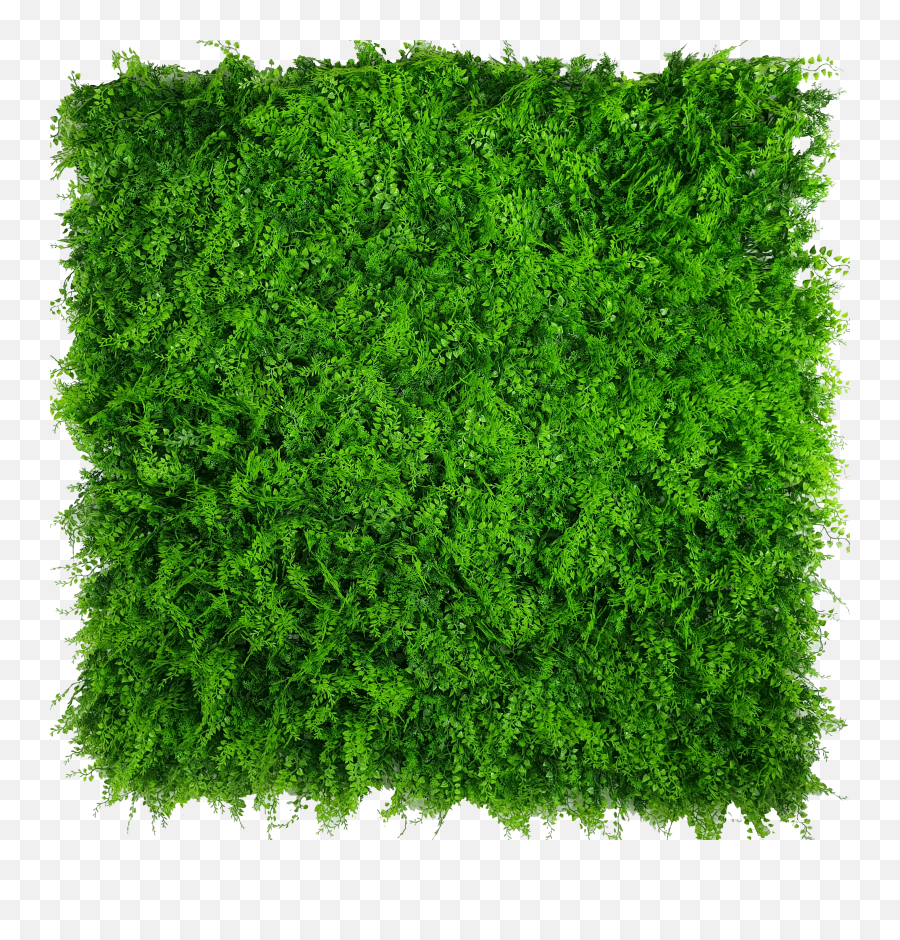 Vertical Garden Png - Mixed Fern Artificial Green Wall Hedge Artificial Vertical Plant Wall,Fern Png