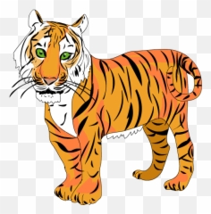Tigre - Tigre Png,Tigre Png