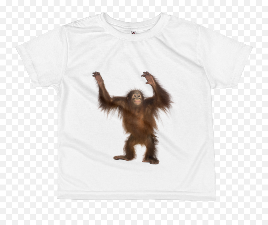 Download Orang Utan Print All Over Kids Sublimation T Shirt - Bornean Orangutan Png,Orangutan Png